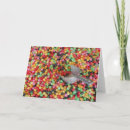 Buscar confitería tarjetas Caramelo