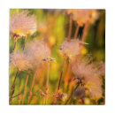 Buscar flor nacional azulejos Flora