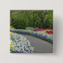 Buscar jacinto chapas Jardín