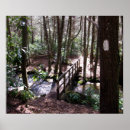 Buscar rastro posters Bosque