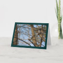 Buscar paloma que vuela tarjetas Pájaros