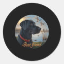 Buscar pato negro pegatinas Pesca con mosca