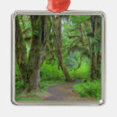 Buscar olympic adornos Bosque