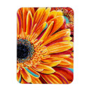 Buscar burbujas imanes Flor