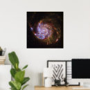 Buscar molinillo posters M101