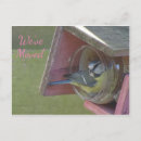 Buscar pequeños pájaros lindos postales Para todos