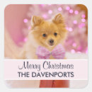 Buscar foto de mi perro pegatinas Navidades