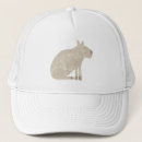 Buscar roedor gorras Capibaro