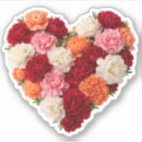 Buscar clavel pegatinas General y unisex