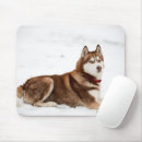 Buscar siberian husky alfombrillas de raton Nieve