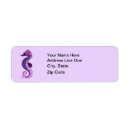 Buscar seahorse Bonito