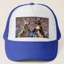 Buscar jugando gorras 4 º pelota