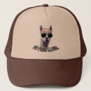 Buscar humor gorras Chiste