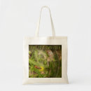 Buscar luciérnagas bolsos Insecto