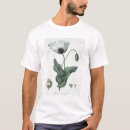 Buscar papaver Plantas