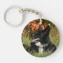 Buscar collies llaveros Frontera