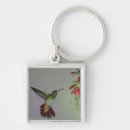 Buscar ecuador llaveros Animal