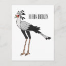 Buscar secretaria postales General y unisex