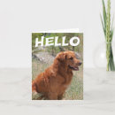 Buscar hola perritos tarjetas Cachorro