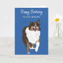 Buscar perro de pastor tarjetas Australianos