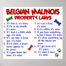 Buscar malinois posters Divertido