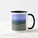 Buscar mountain tazas Verano
