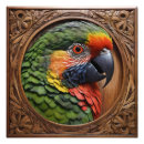 Buscar loro fotografía Lorikeet