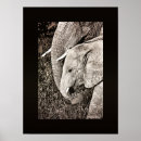 Buscar cartera arte Foto
