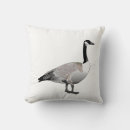 Buscar canadiense cojines Ganso