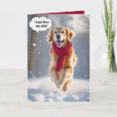 Buscar golden retriever feliz tarjetas General y unisex