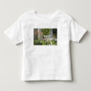 Buscar norte sur camisetas Naturaleza