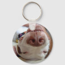 Buscar sonrisa llaveros Canino