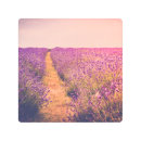 Buscar llano posters Naturaleza