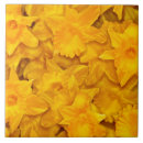 Buscar flowers azulejos Jardín