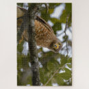 Buscar pájaros tropicales puzzles Vida silvestre