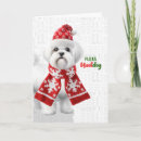 Buscar perritos lindos tarjetas General y unisex