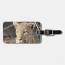 Buscar botswana accesorios Safari