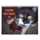 Buscar humor calendarios Gato