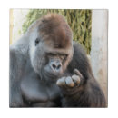 Buscar funny azulejos Animales