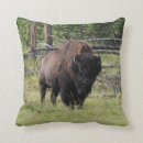 Buscar viejo oeste cojines Bisonte