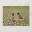 Buscar remo postales Naturaleza