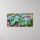 Buscar gotas de lluvia lienzos Jardín