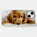 Buscar cocker spaniel iphone fundas Cachorro