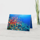 Buscar arrecife de coral tarjetas Océano