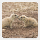 Buscar día de la marmota postales Naturaleza