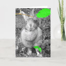 Buscar conejo blanco y negro tarjetas General y unisex