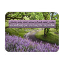 Buscar asís imanes Francio de assisi