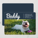 Buscar perro invitaciones Cachorro