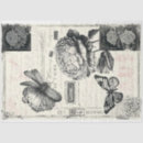 Buscar peonies papel de seda Collage