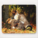 Buscar cats alfombrillas de raton Felinos